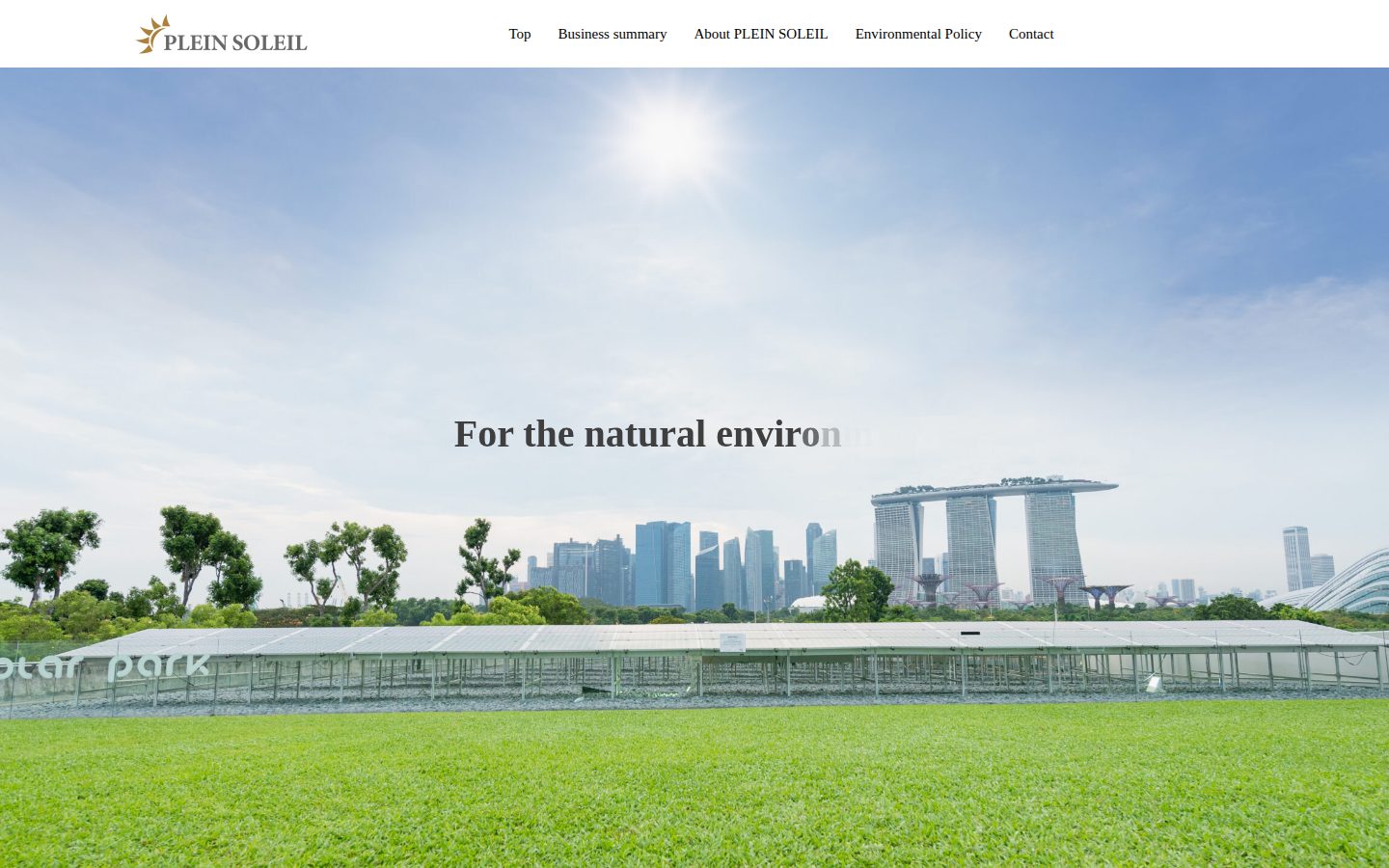 PLEIN SOLEIL PTE. LTD. のWebサイト画面